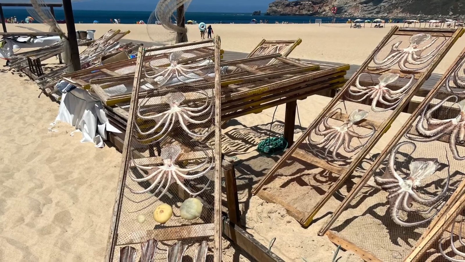 Peixe Seco em Nazaré