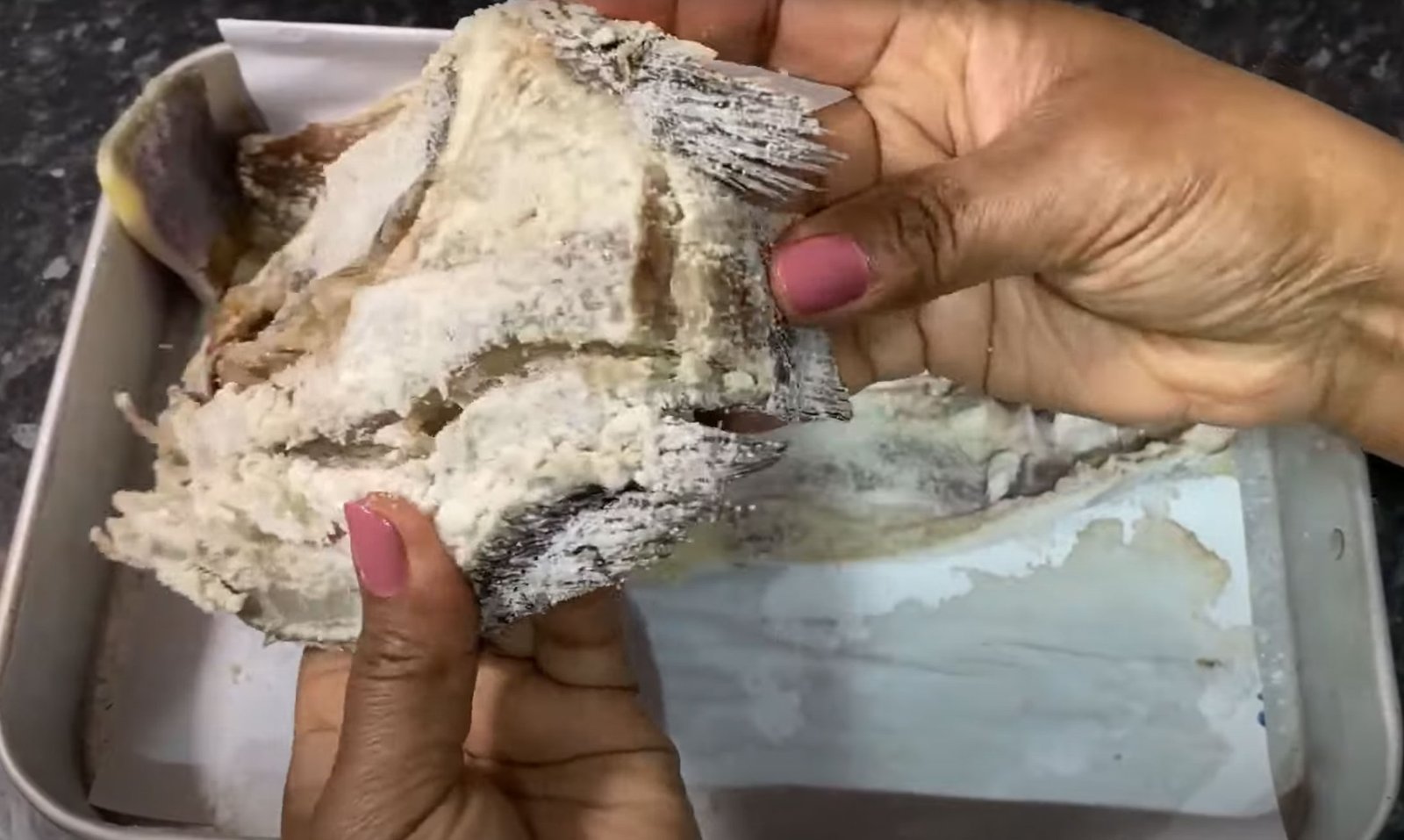 CARNE SECA E PEIXE SECO | COMO SECAR CARNE E PEIXE SEM PÔR NO SOL | PASSO A PASSO